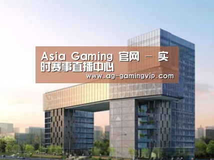 案例展示四