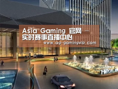 案例展示二