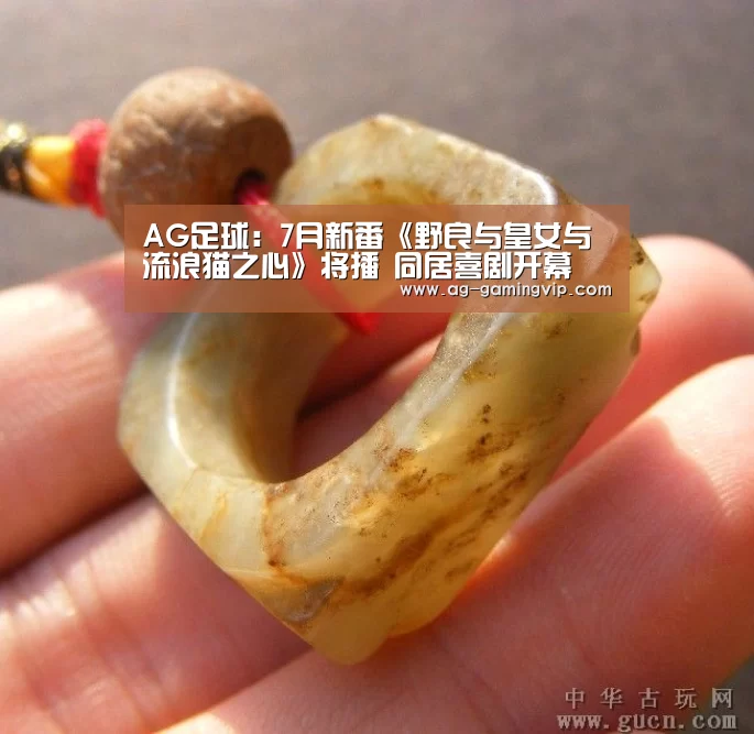 AG足球:7月新番《野良与皇女与流浪猫之心》将播 同居喜剧开幕(图2) AG足球