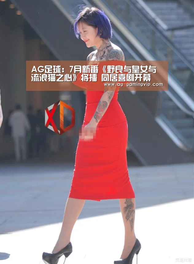 AG足球:7月新番《野良与皇女与流浪猫之心》将播 同居喜剧开幕(图1) AG篮球
