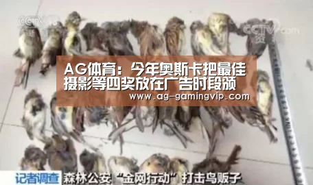 AG赛事
